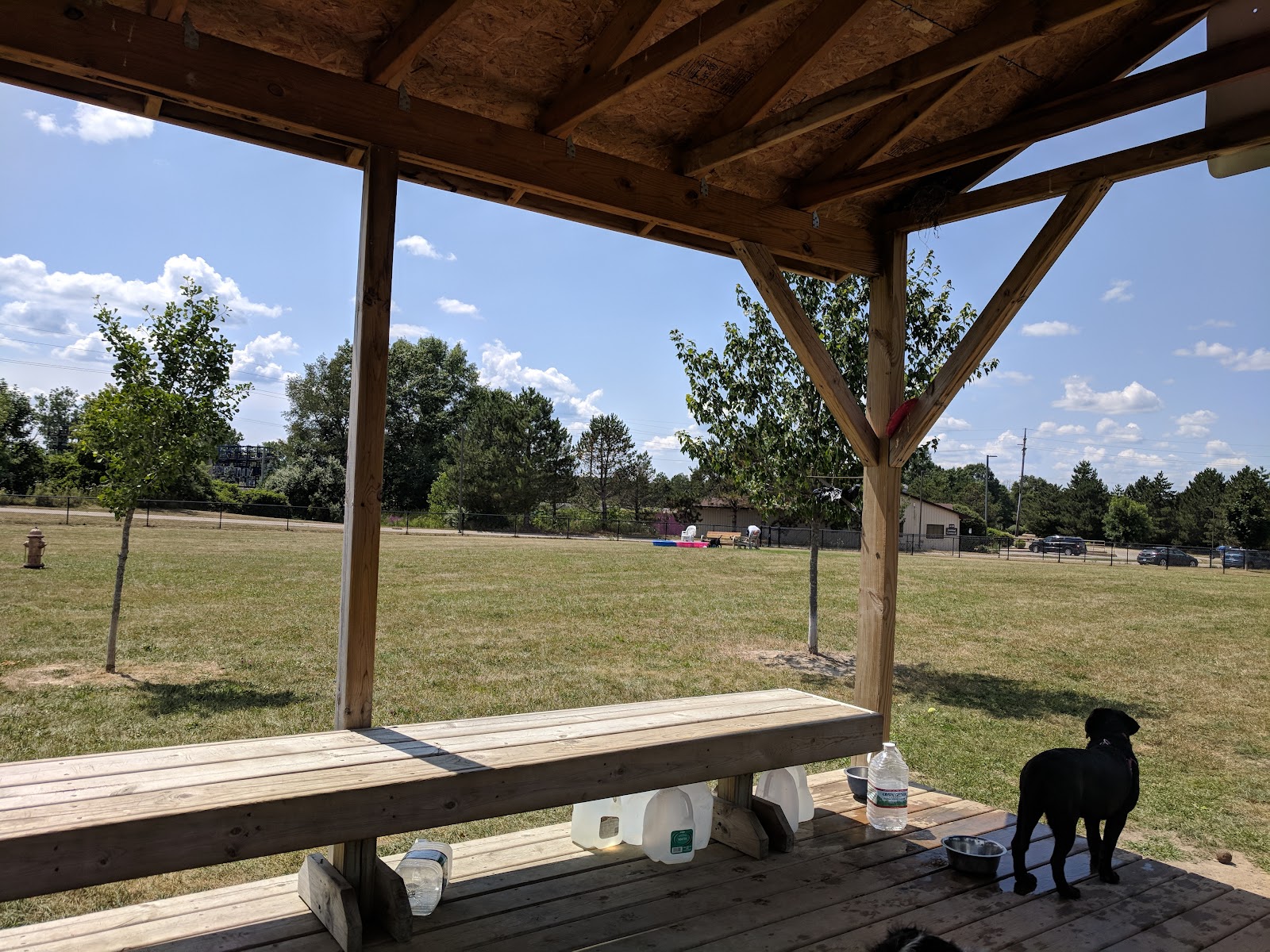 Countryside Veterinary Dog Park